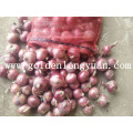 Fresh New Crop Cebola Vermelha